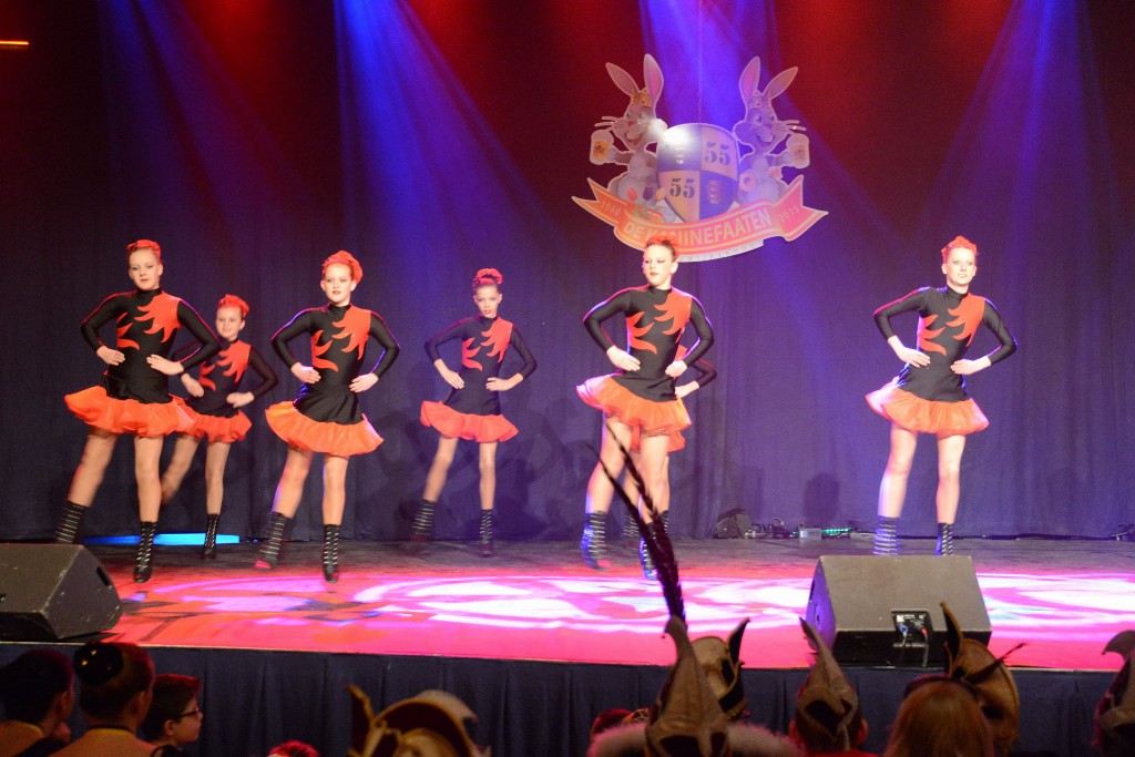 ../Images/Dansmarieke festival 2015 116.jpg